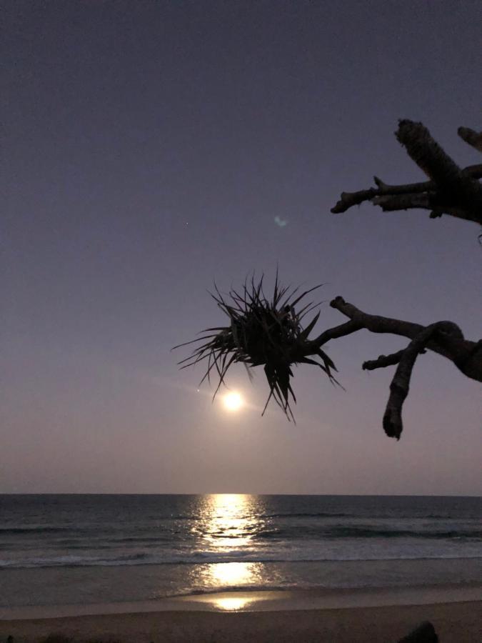 Horizons At Peregian Aparthotel Peregian Beach Exteriör bild